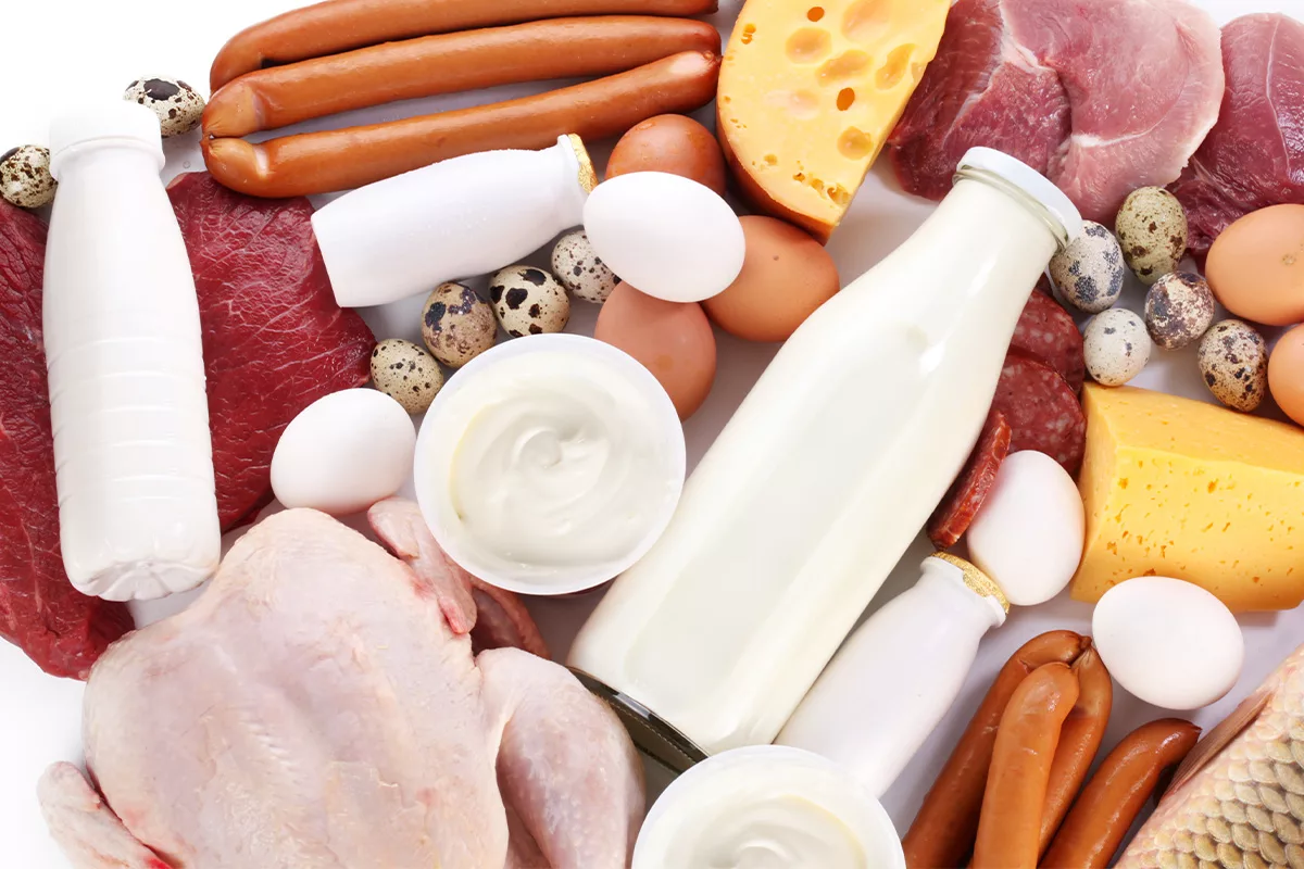 meat, poultry, eggs and dairy products